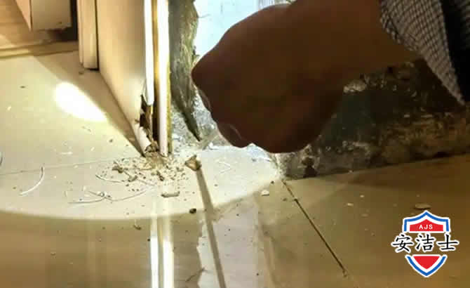 台州房屋建筑防治白蚁