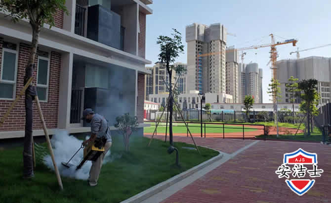 台州工厂工地除白蚁