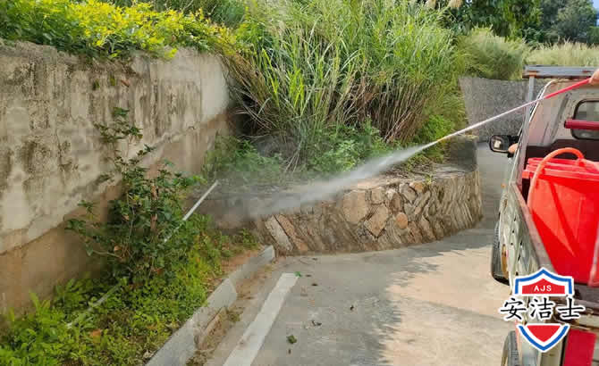 台州道路堤坝白蚁防治