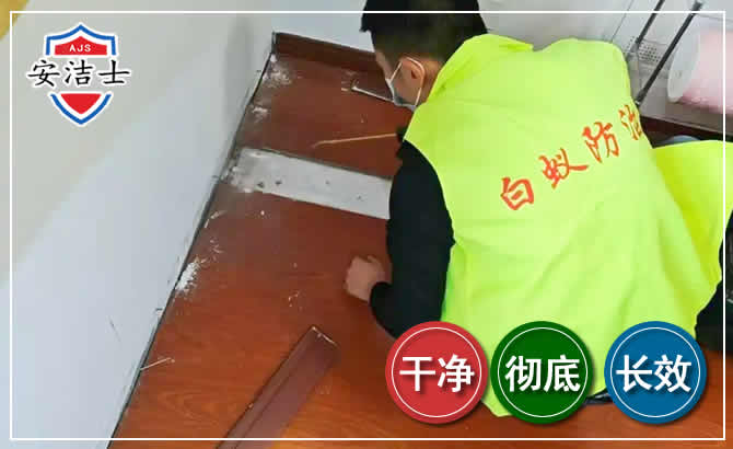 台州除四害现场