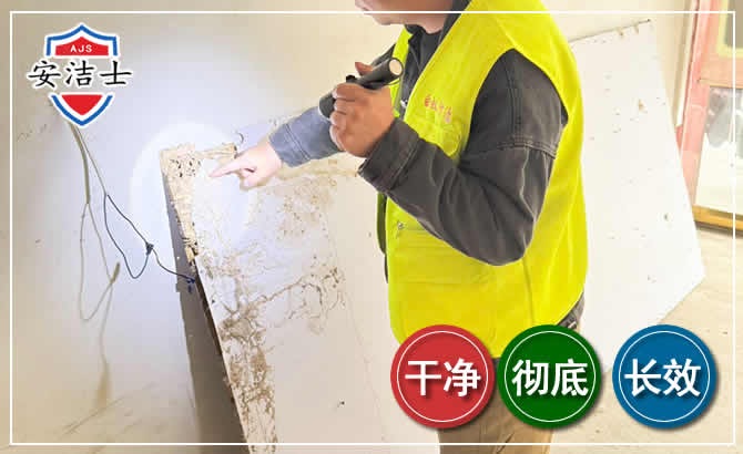 台州除白蚁现场