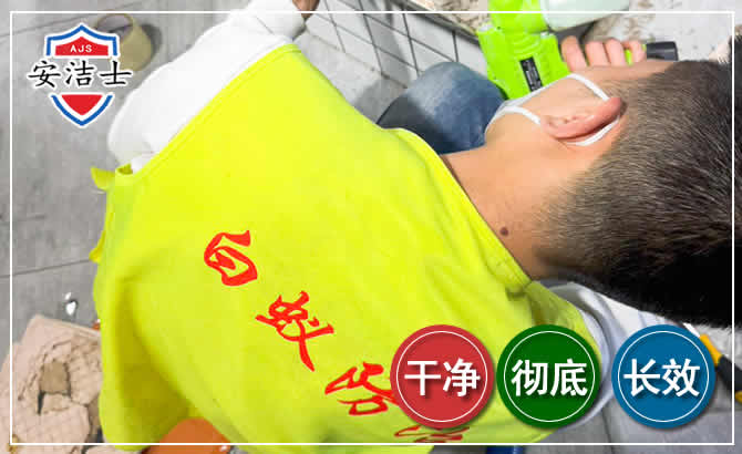 台州白蚁根治现场